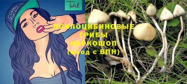 мескалин Новокубанск