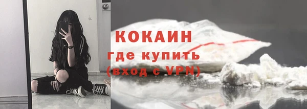 ГАЛЛЮЦИНОГЕННЫЕ ГРИБЫ Няндома
