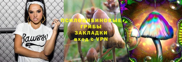 МДПВ Новодвинск