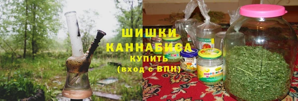 ГАЛЛЮЦИНОГЕННЫЕ ГРИБЫ Няндома